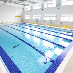 Piscine Extérieure en Béton : Robustesse et Personnalisation pour votre Espace de Détente Chagny